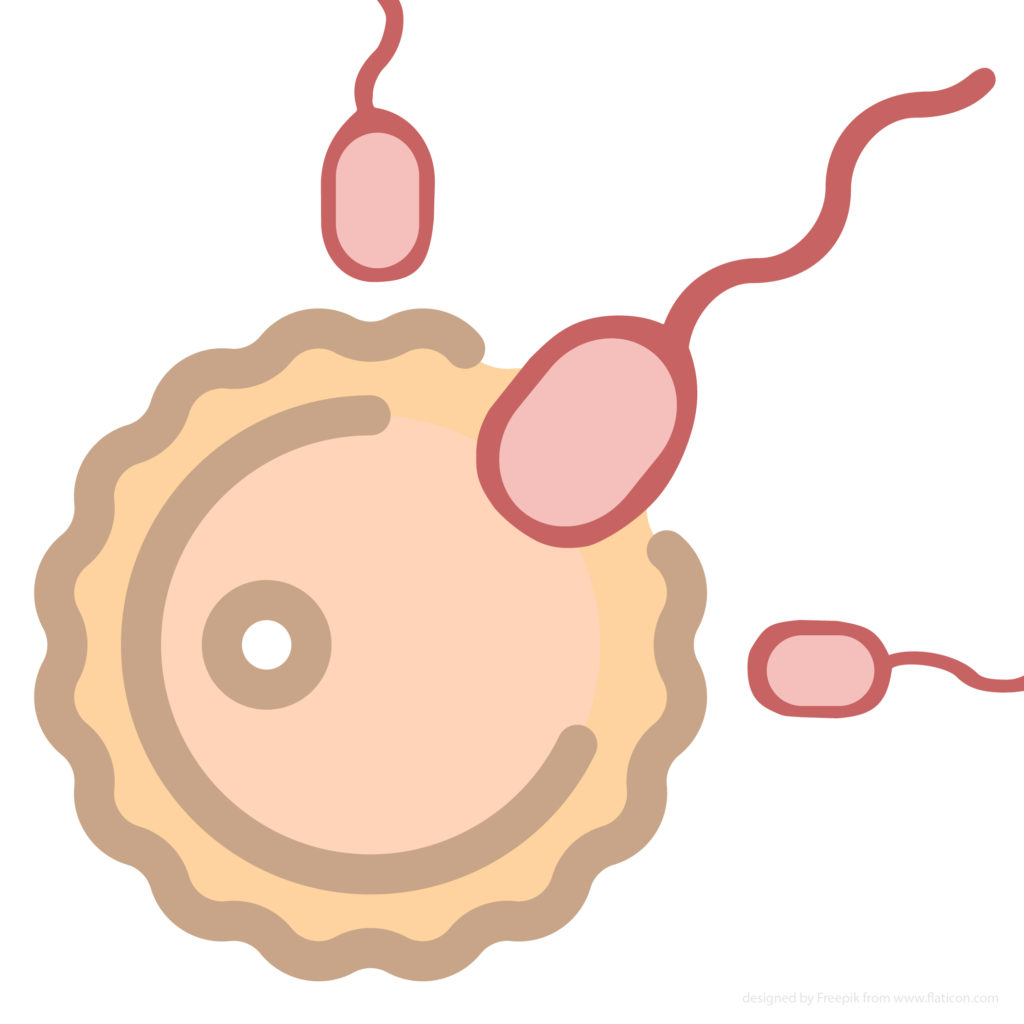 What is IVF and who offers treatment in Malaysia?