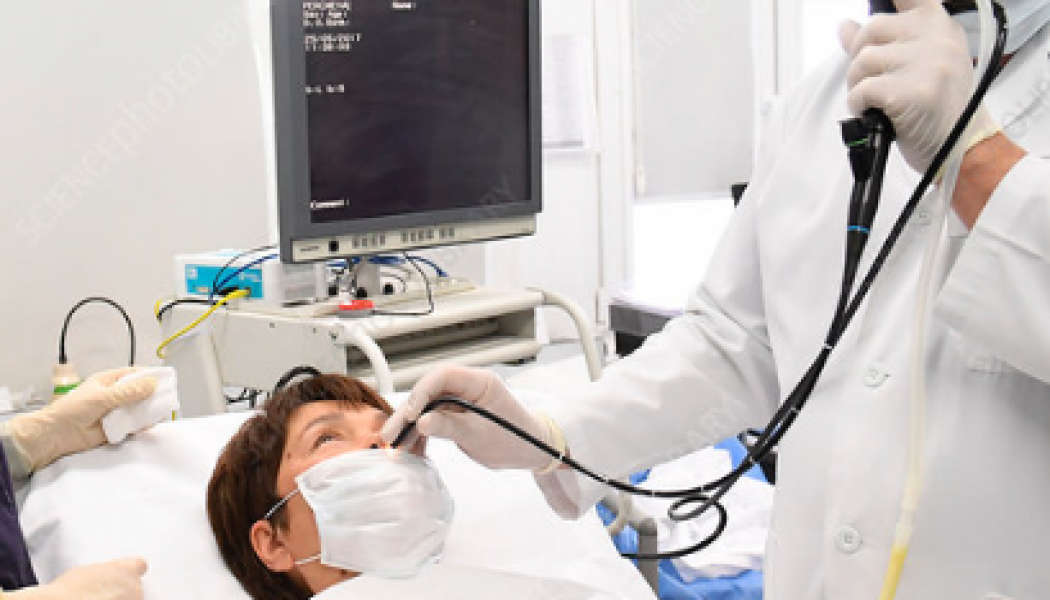 Gastroscopy Procedure Description