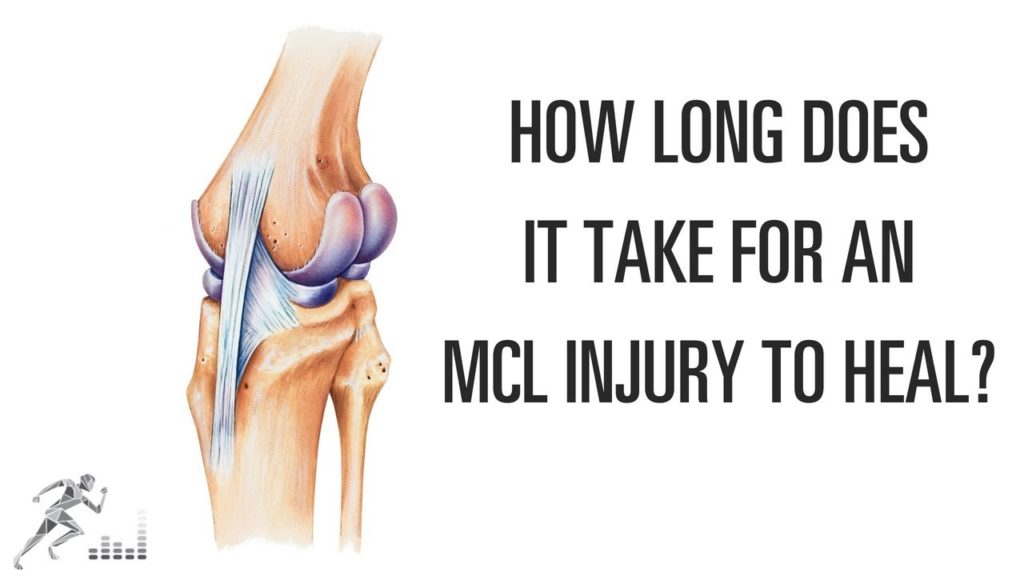 Knee Ligament Surgery Mcl Procedure Description Mymeditravel Knowledge