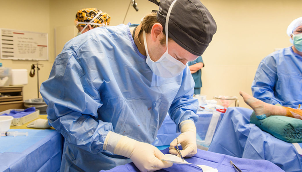 Tendon Repair Procedure Description