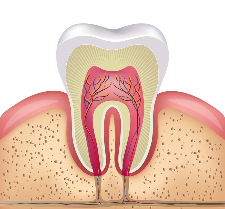 Top Tips on Having a Root Canal in Thailand