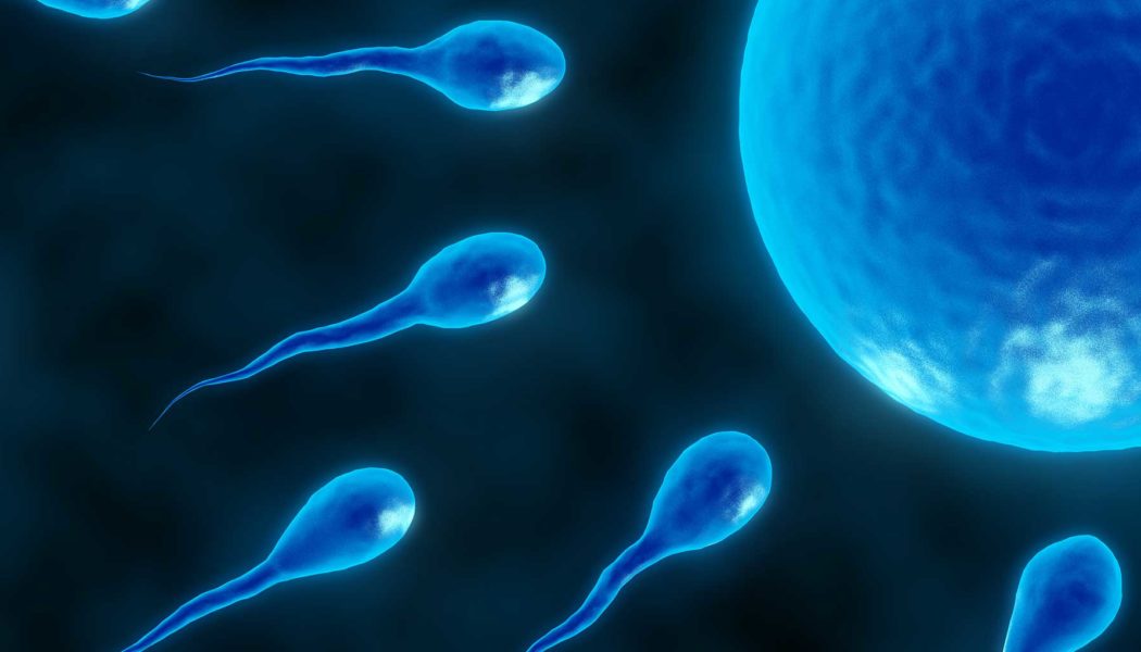 In Vitro Fertilization (IVF) FAQ