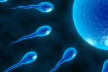 In Vitro Fertilization (IVF) FAQ
