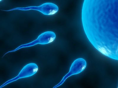 In Vitro Fertilization (IVF) FAQ
