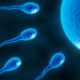 In Vitro Fertilization (IVF) FAQ