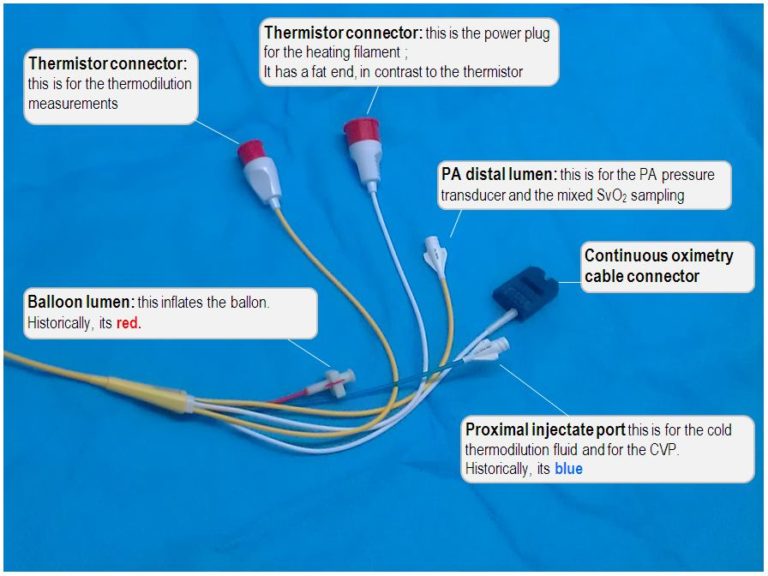 Pulmonary Artery Catheter Insertion Procedure Description ...