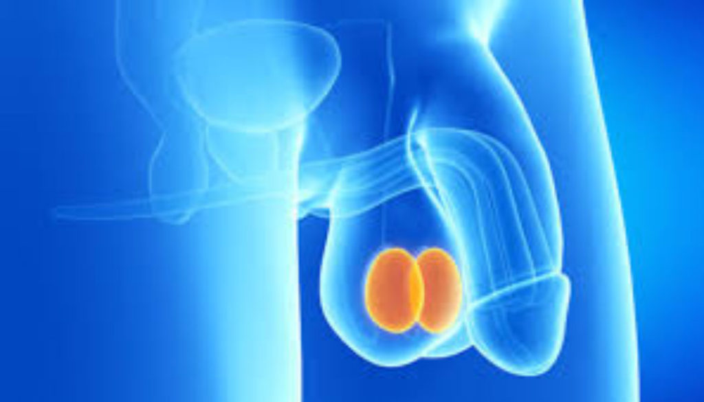 Top Facts on Having a Simple Orchiectomy in Turkey