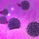 FAQ Coronavirus
