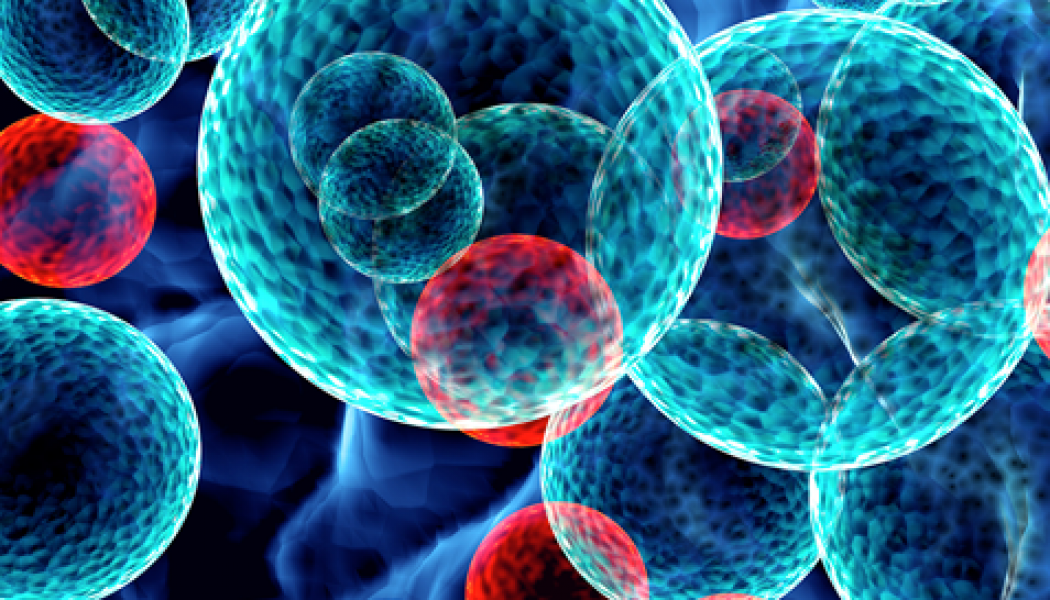 Oncology an Overview