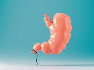 Human stomach made of pumped over balloon. Concept of binge eating and obesity