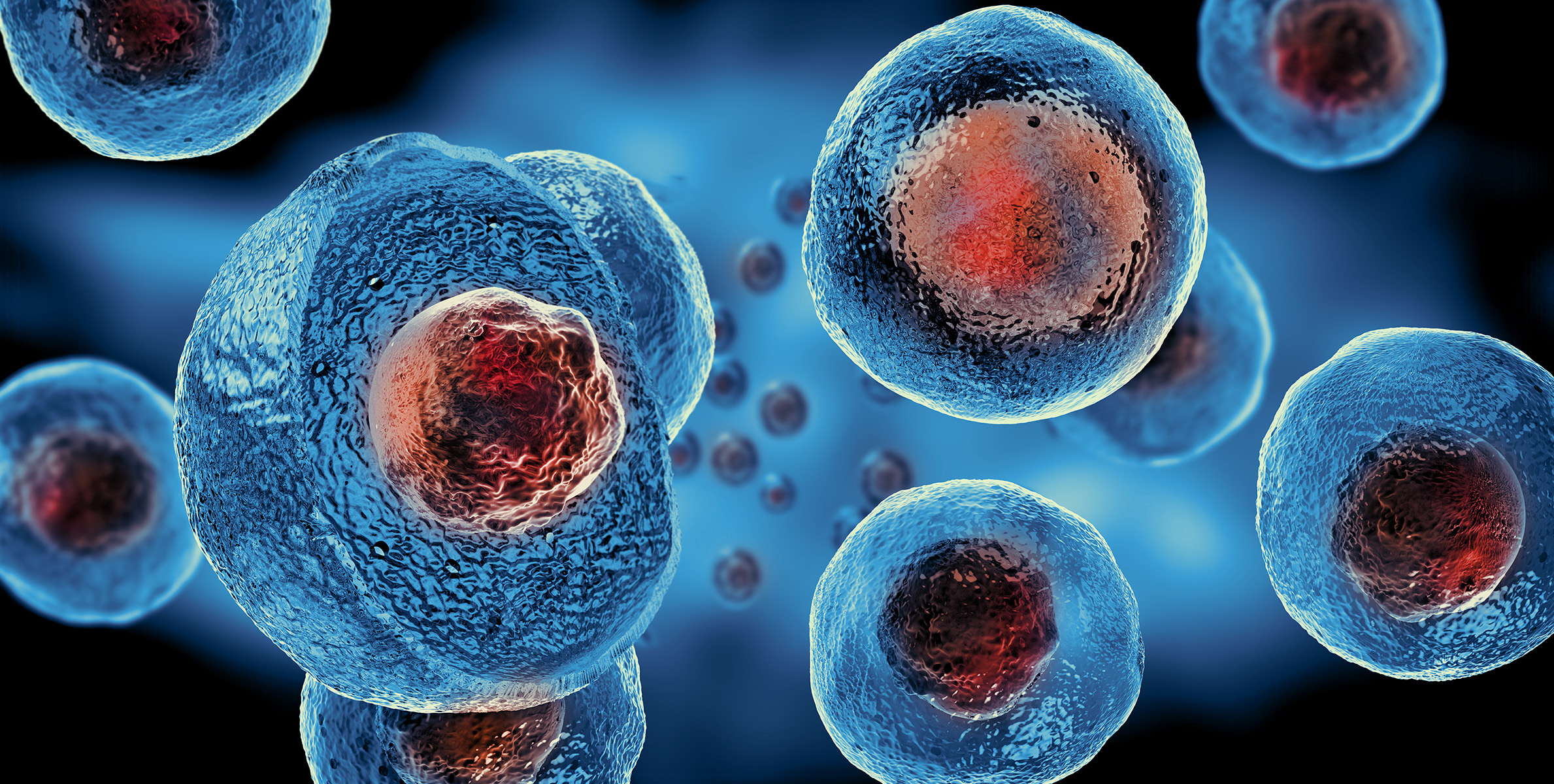 Why is Mexico Gaining Popularity for Stem Cell Therapy?